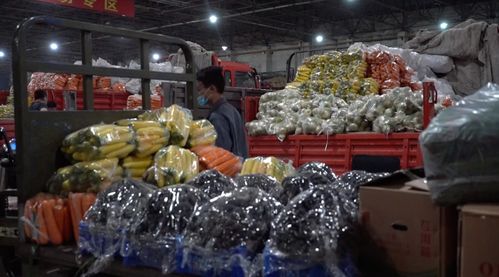 警惕本土新增疫情，全面摸排確保零遺漏——聚焦漁需物資銷售環節防控