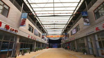 上海漁需物資采購指南 正規市場與線上平臺推薦